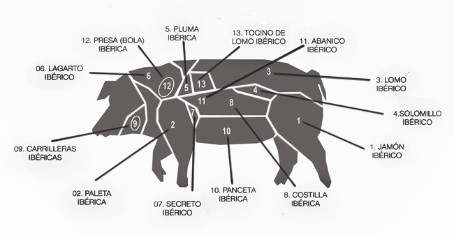 Cerdo Ibérico