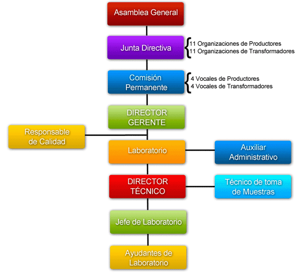 organigrama